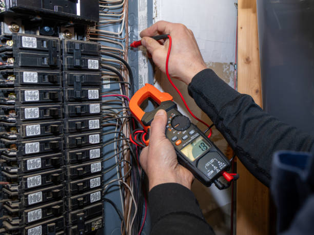Best Electric Panel Repair  in Napervle, IL